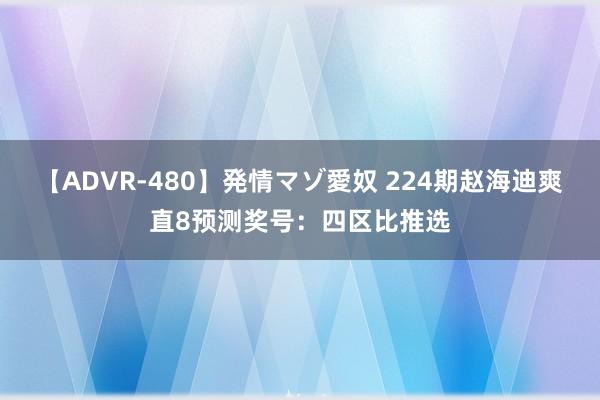 【ADVR-480】発情マゾ愛奴 224期赵海迪爽直8预测奖号：四区比推选