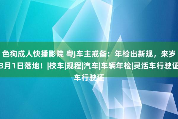 色狗成人快播影院 粤J车主戒备：年检出新规，来岁3月1日落地！|校车|规程|汽车|车辆年检|灵活车行驶证