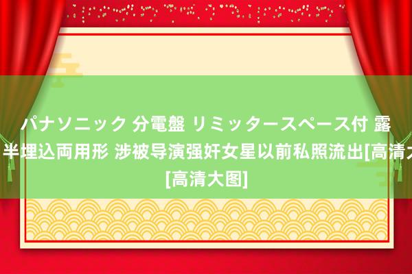 パナソニック 分電盤 リミッタースペース付 露出・半埋込両用形 涉被导演强奸女星以前私照流出[高清大图]